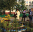 Итоги городского смотра-конкурса учебно-опытных участков дошкольных образовательных  учреждений ЗАТО г. Североморск. - Управление образования г.Североморска