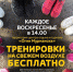 Тренировки в школе бега - Североморские вести