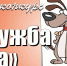 Фотоконкурс «Дружба года» - Североморские вести