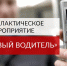 Проверят водителей - Североморские вести