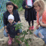 На детской площадке по ул.Полярной, 4, появились кусты сирени - Североморские вести