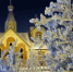 Пересекаем экватор - Североморские вести