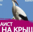 Всероссийская акция «Аист на крыше» - Город Североморск