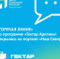 Начала работу «горячая линия» по программе «Гектар Арктики» - Город Североморск