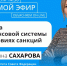 «Объясняем.РФ»: на вопросы северян в прямом эфире ответит сенатор Татьяна Сахарова - Город Североморск