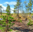 Прогноз погоды на 28 июня - Североморские вести