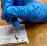 Завтра будет открыта запись на витаминизацию - Город Североморск
