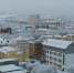 Обновлен сервис оформления фитосанитарных сертификатов - Город Североморск