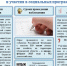 В мурманской области в 2025 году Состоится обследование рабочей силы - Город Североморск