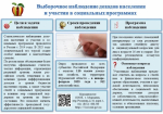 В мурманской области в 2025 году Состоится обследование рабочей силы