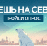Опрос о жизни на Российском Севере - Город Североморск