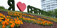 В ЗАТО Североморск продолжается озеленение - Город Североморск