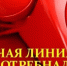 Консультация индивидуальных предпринимателей по вопросам защиты прав потребителей - Город Североморск