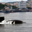 С Днем Военно-Морского Флота России! - Город Североморск