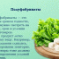 Час информации «Как выбрать качественные и безопасные продукты» - Североморская ЦБС