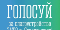 Голосуем за благоустройство! - Город Североморск