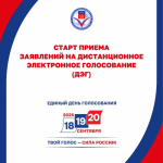 Начался прием заявлений на дистанционное электронное голосование
